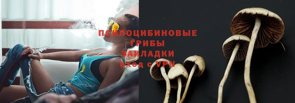таблы Алзамай